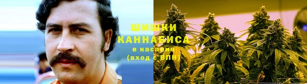 a pvp Аркадак